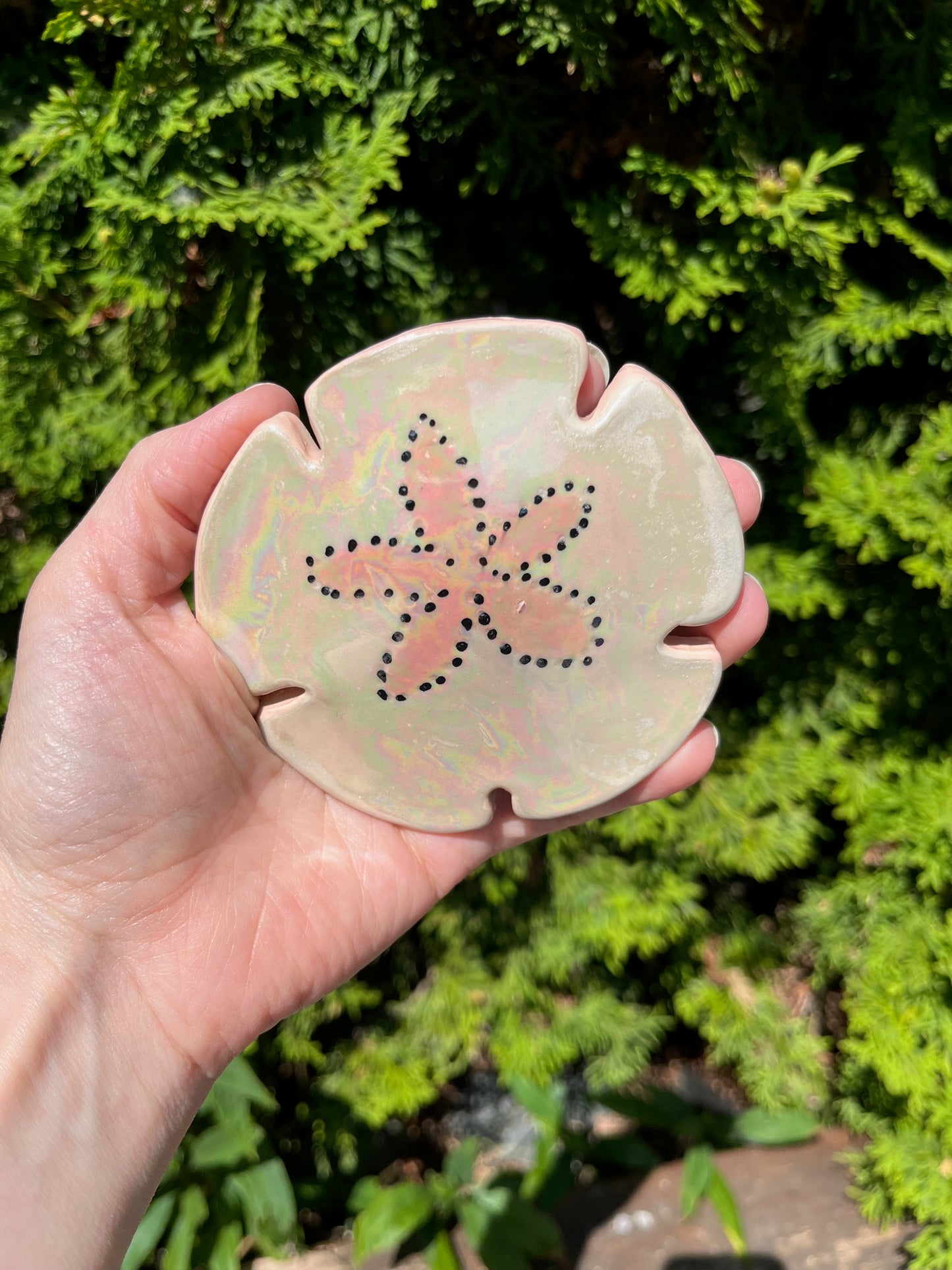 Luster Sand Dollar Hanger