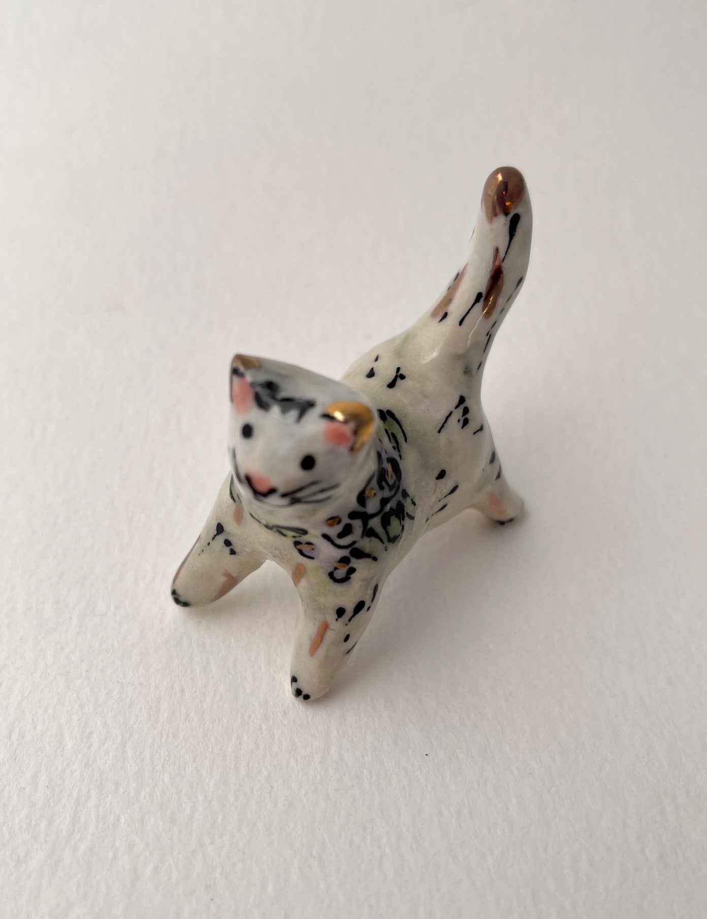 White Tiny Cat