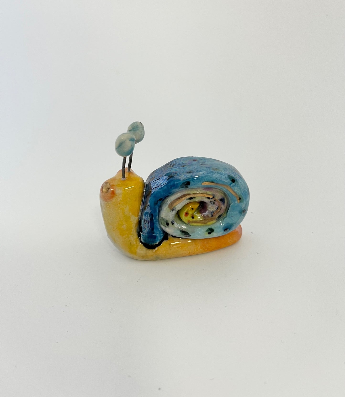 Blue Swirl Snail