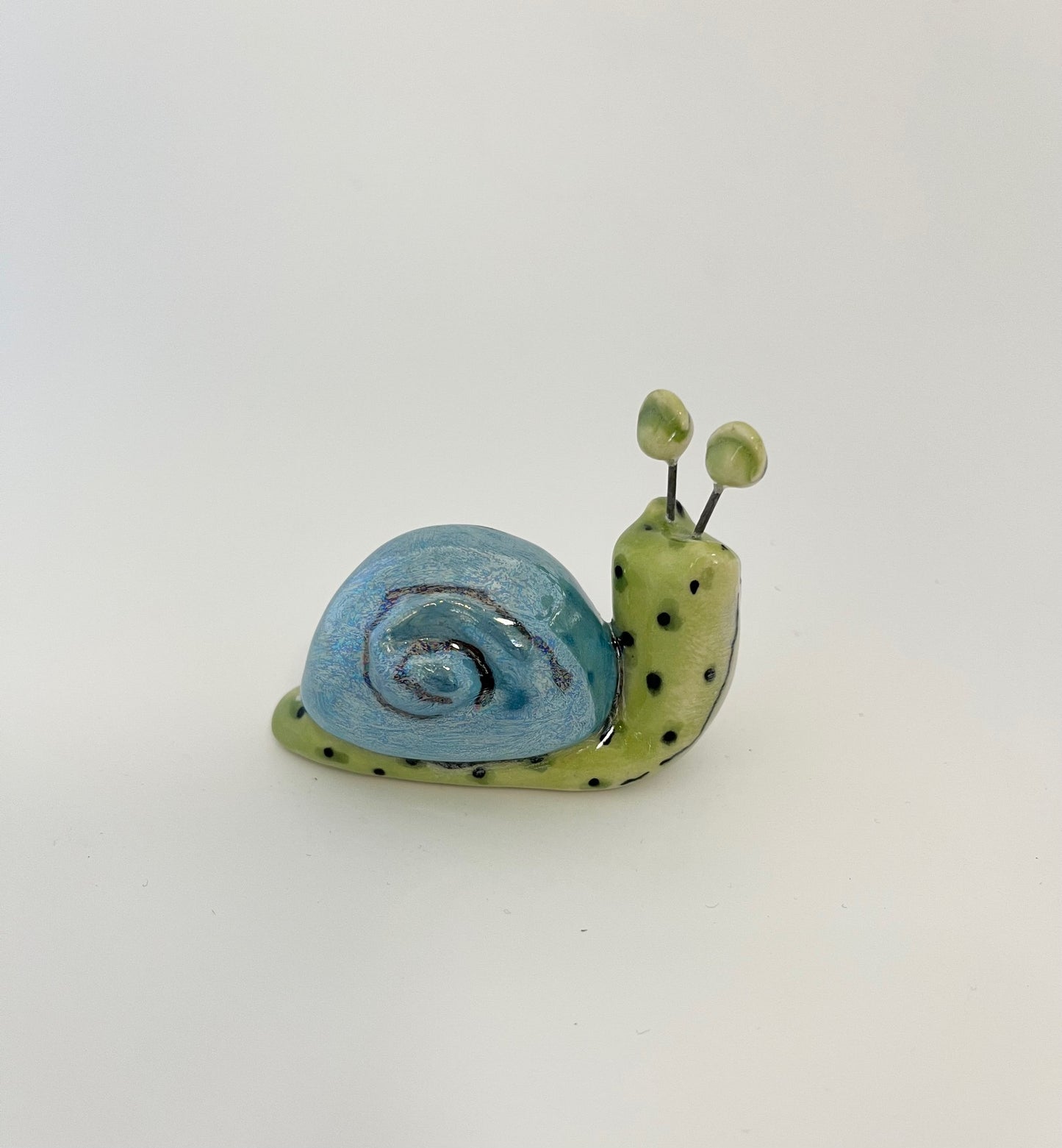Daisy Snail