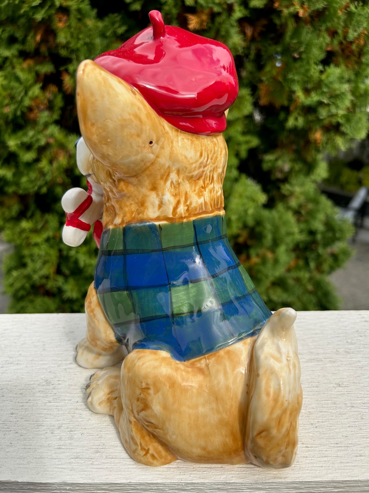 Corgi with Tartan Vest