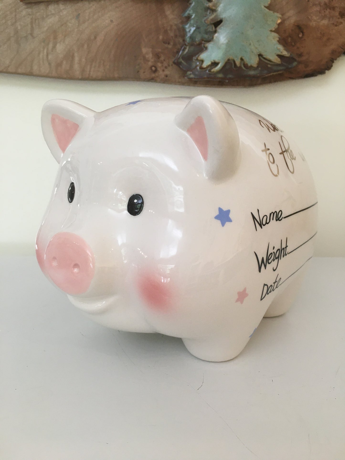 Welcome To The World Piggy Bank