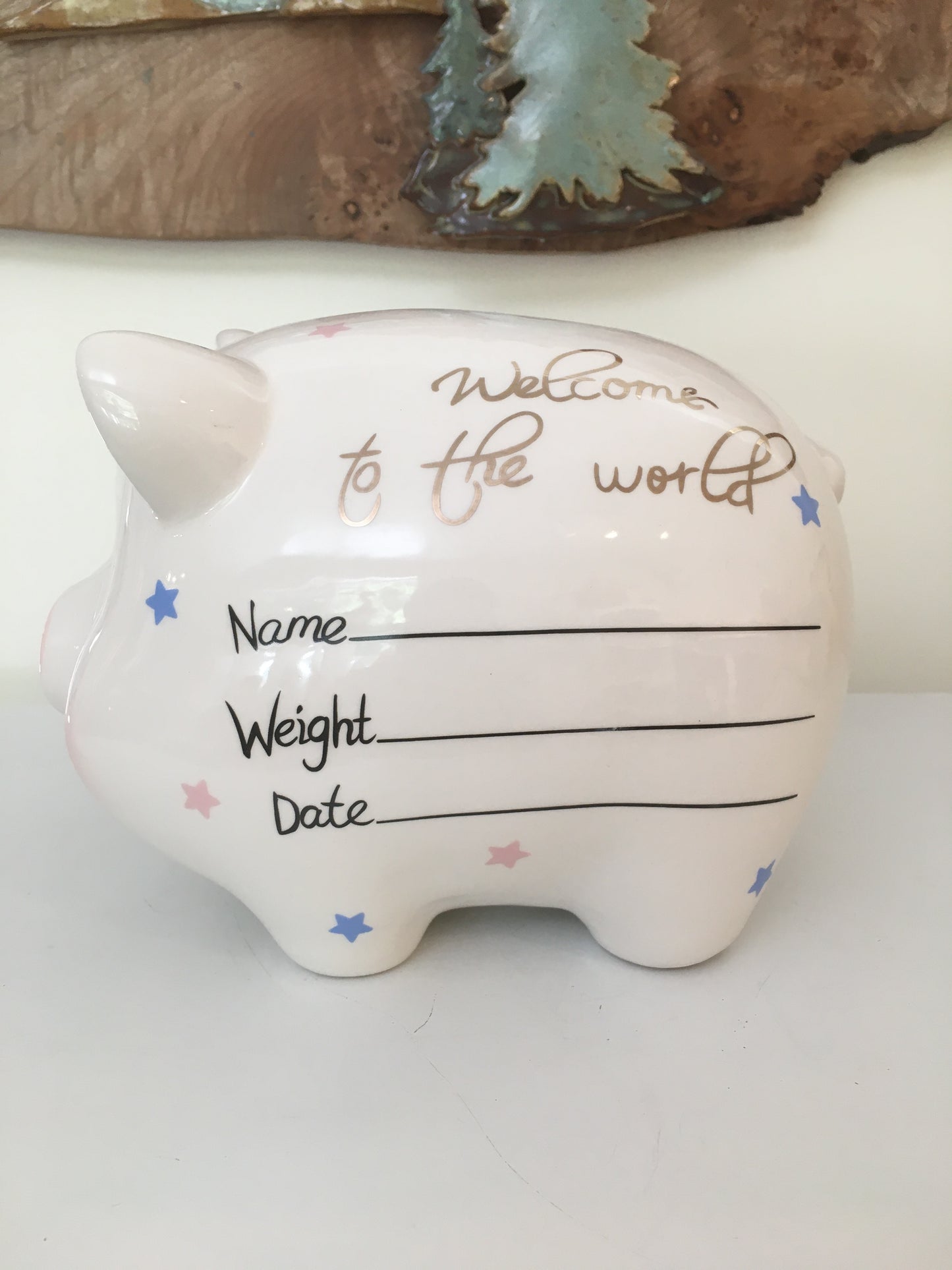 Welcome To The World Piggy Bank