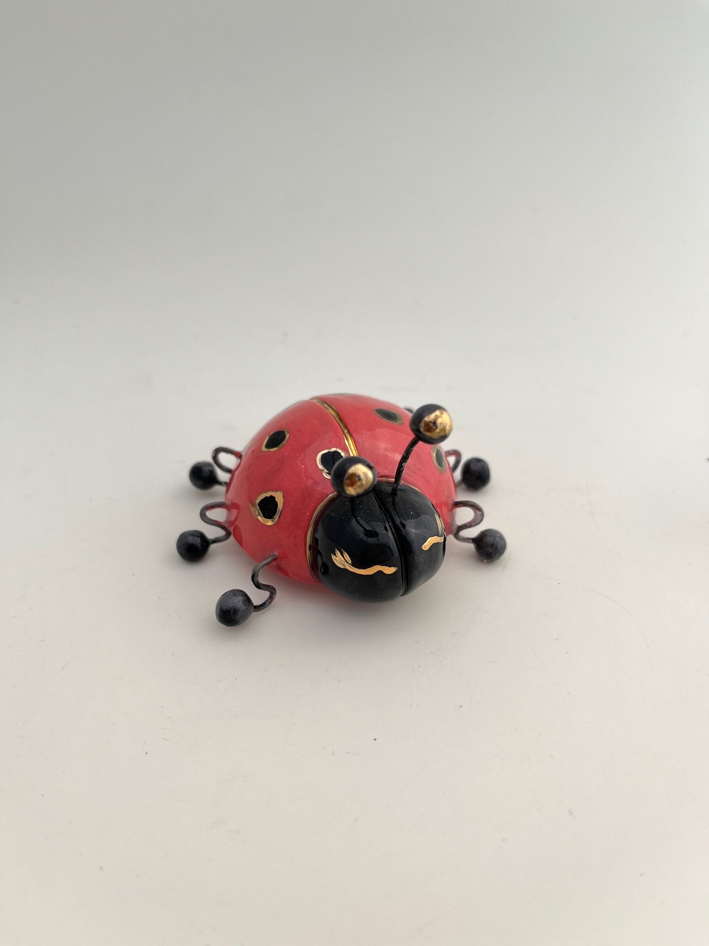 Ladybugs