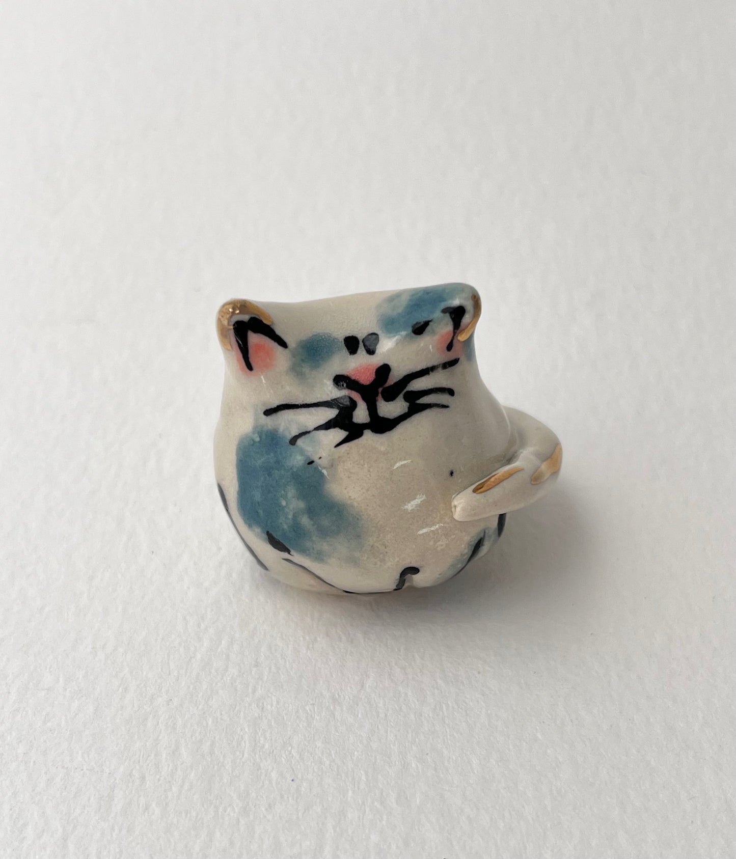 "Teeny" the Tiny Cat