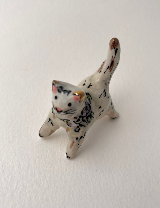 White Tiny Cat