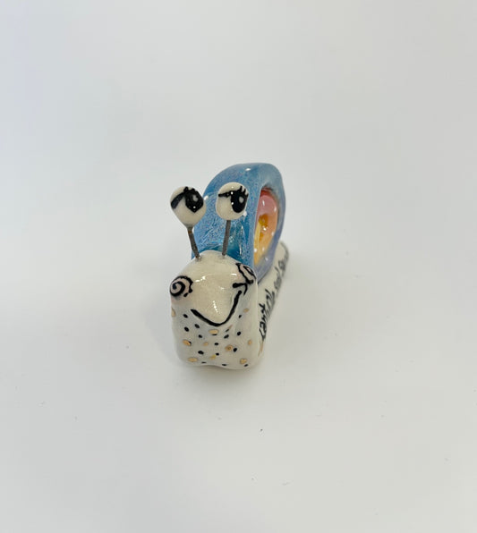Lantzville Snail Squad Snail
