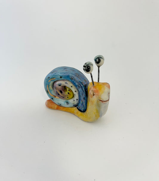 Blue Swirl Snail