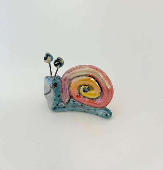 Tiny Rainbow Snail