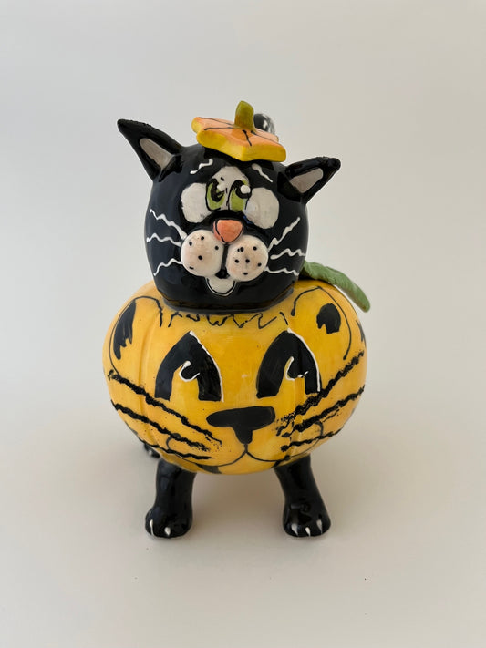"Midnight" the Pumpkin Cat