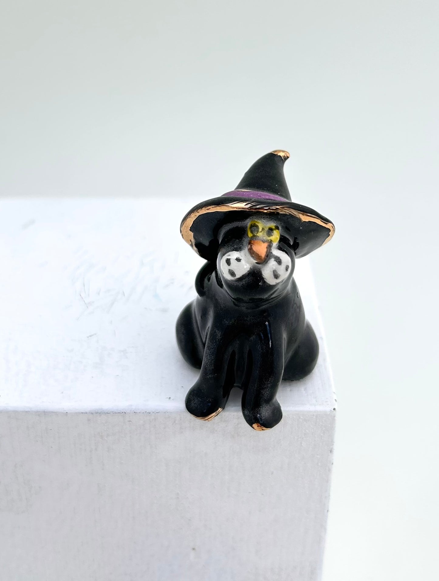 Tiny Witch Cat