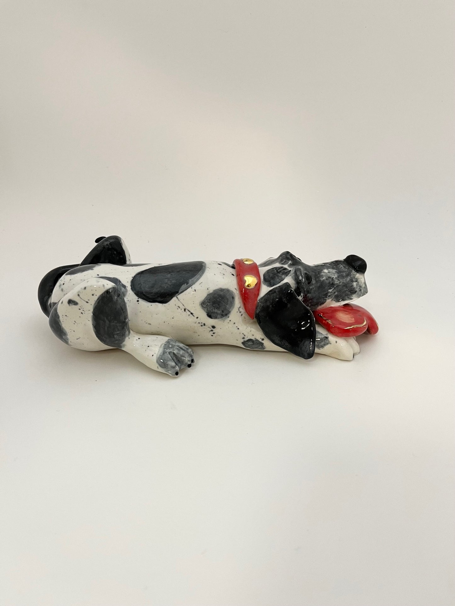 "Romeo" the Great Dane