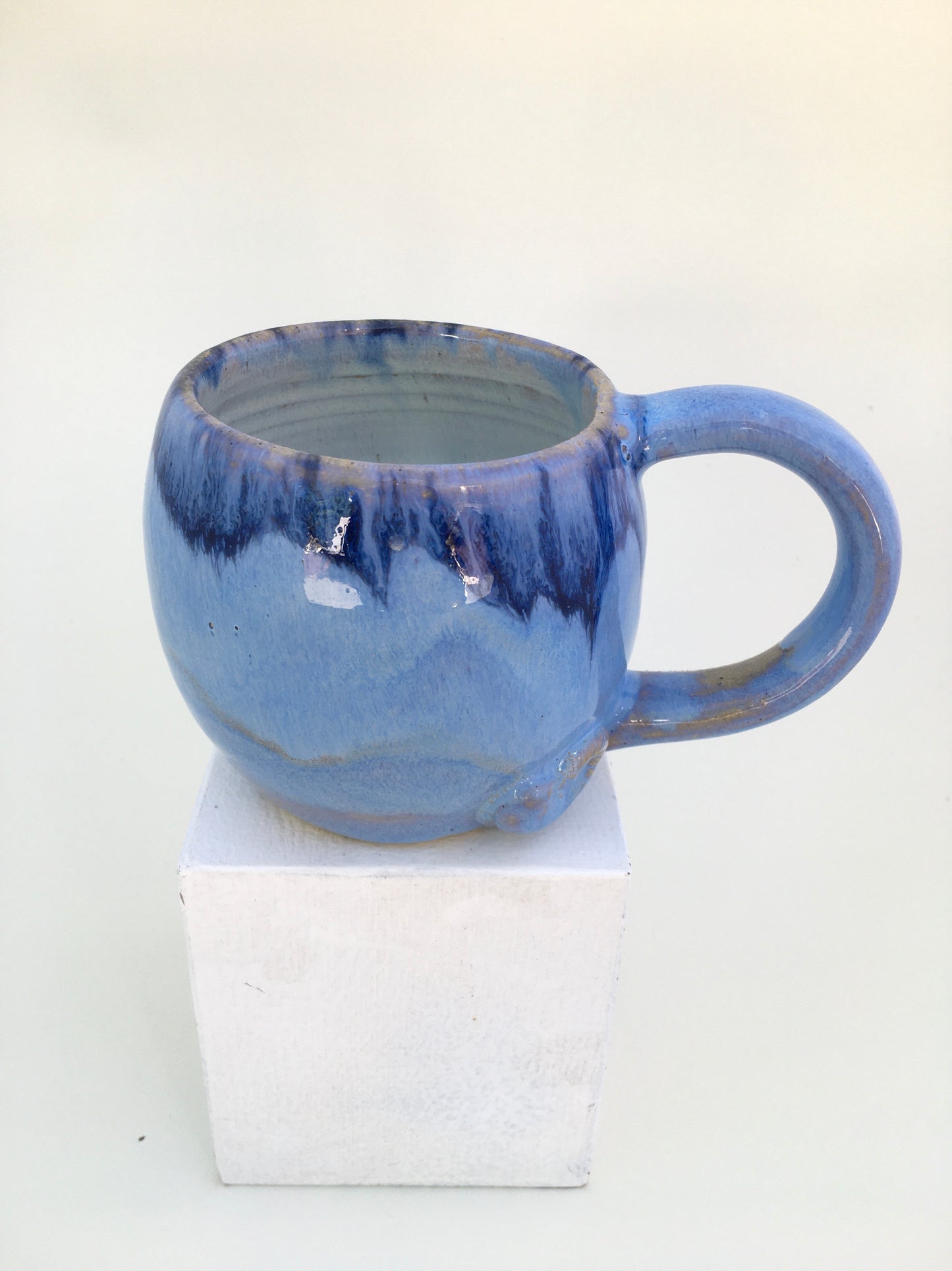 The Dizzy Grizzly Surf Club Mug (blue)