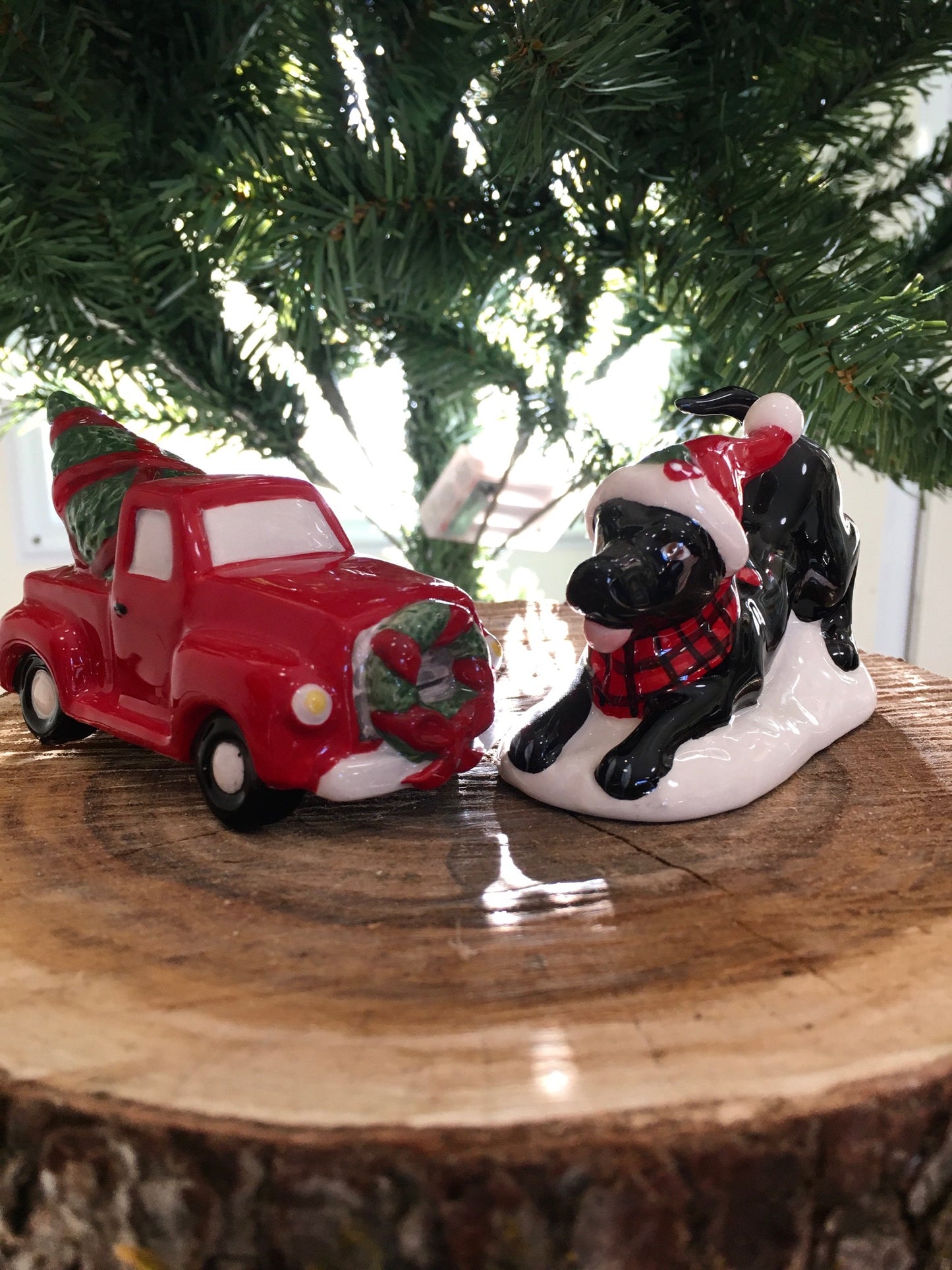 Red Truck and Black Dog Salt and Pepper Set